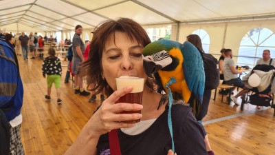 OBRAZEM: Festival piva a vína sklidil v Kladně úspěch a přilákal tisíce lidí
