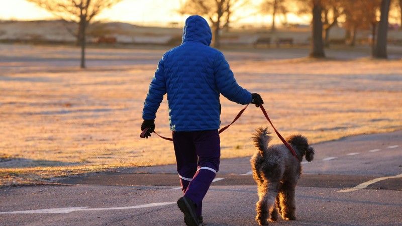 &Uacute;tulek Bouchalka hled&aacute; dobrovoln&iacute;ky na venčen&iacute; psů