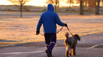 &Uacute;tulek Bouchalka hled&aacute; dobrovoln&iacute;ky na venčen&iacute; psů