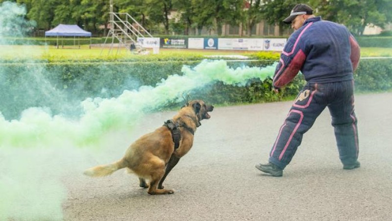 Desetiboj mladého strážníka má své vítěze