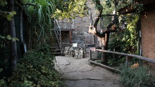 Zoopark Zájezd otevřel novou expozici pro vzácné plazy z Orientu