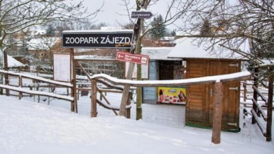 Pomozte s adopcí zvířecích sirotků v Zooparku Zájezd