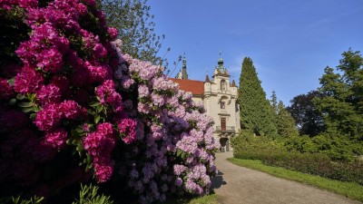 Čarodějnice a „máj – lásky čas“ ve středních Čechách