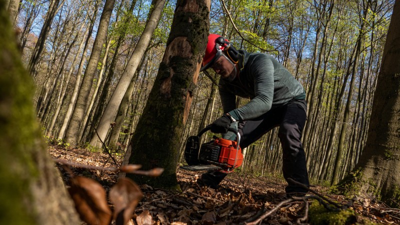 Zelen&iacute; zjistili, kde se budou na Kladně k&aacute;cet stromy