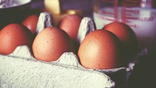 Velvar&scaron;t&iacute; pojedou zase do Prahy s vejci