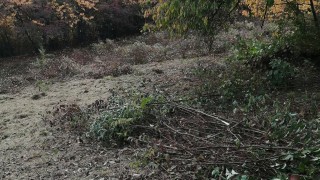 Skvělí gymnazisti. Vyčistili louky v Srbči