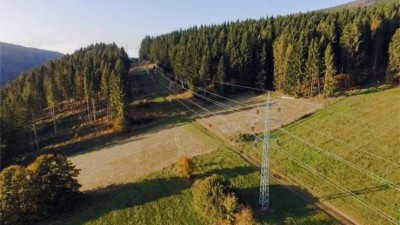 Lesy ČR a ČEZ chtějí společně předejít výpadkům elektřiny, společnosti se dohodly na spolupráci