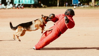 Do Slan&eacute;ho dorazili psovodi z cel&eacute; republiky