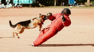 Do Slan&eacute;ho dorazili psovodi z cel&eacute; republiky