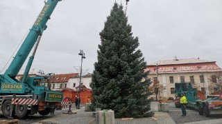 Vánoční strom již v Kladně stojí foto e-deníky