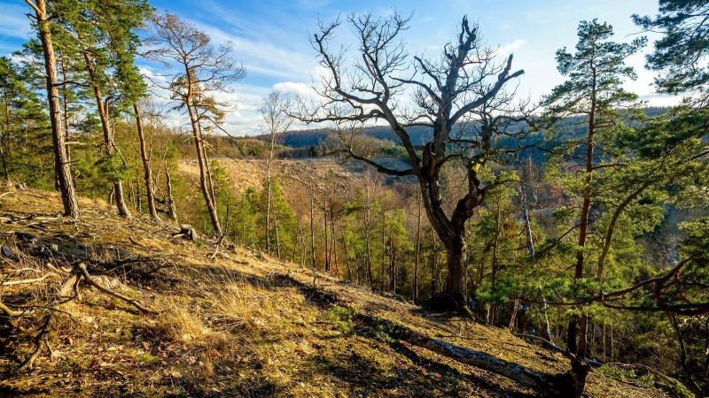 Ve čtvrtek se bude v Lánské oboře střílet. Zákaz vstupu