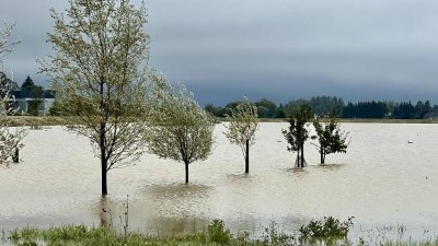 Letošní povodně budou z hlediska reálných pojištěných škod podle všeho třetí nejhorší živelní pohromou v historii Česka