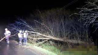 Perná noc hasičů. Jen na Kladensku odstraňovaly tři popadané stromy