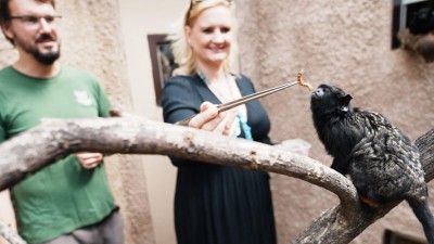 Hejtmanka Petra Pecková otevřela nový pavilon v Zooparku Zájezd