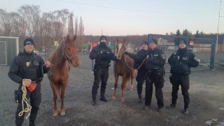 Str&aacute;žn&iacute;ci ve star&yacute;ch Kročehlavech odchyt&aacute;vali spla&scaron;en&eacute; koně z Bu&scaron;těhradu