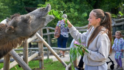 V Zooparku Zájezd bude probíhat rozlučka s prázdninami